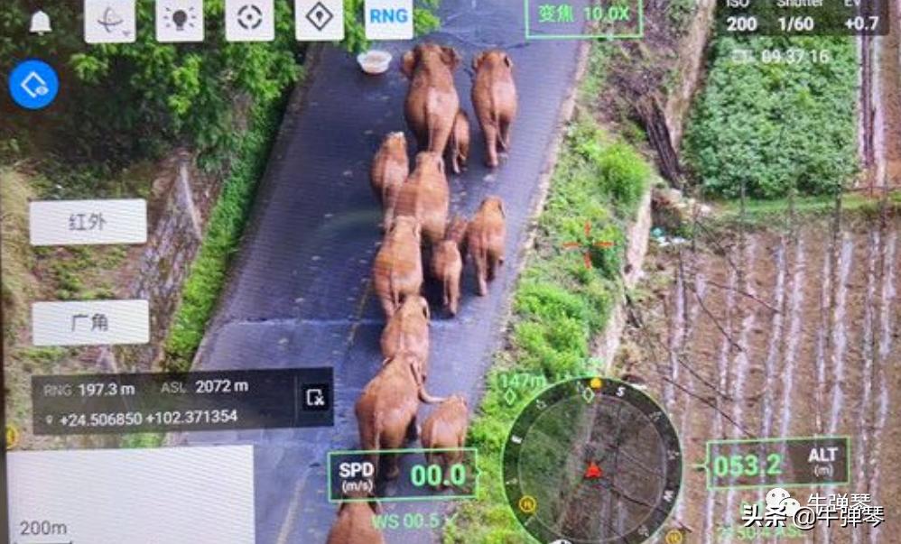 中国宣传片大国风光简短,最新中国风景宣传片