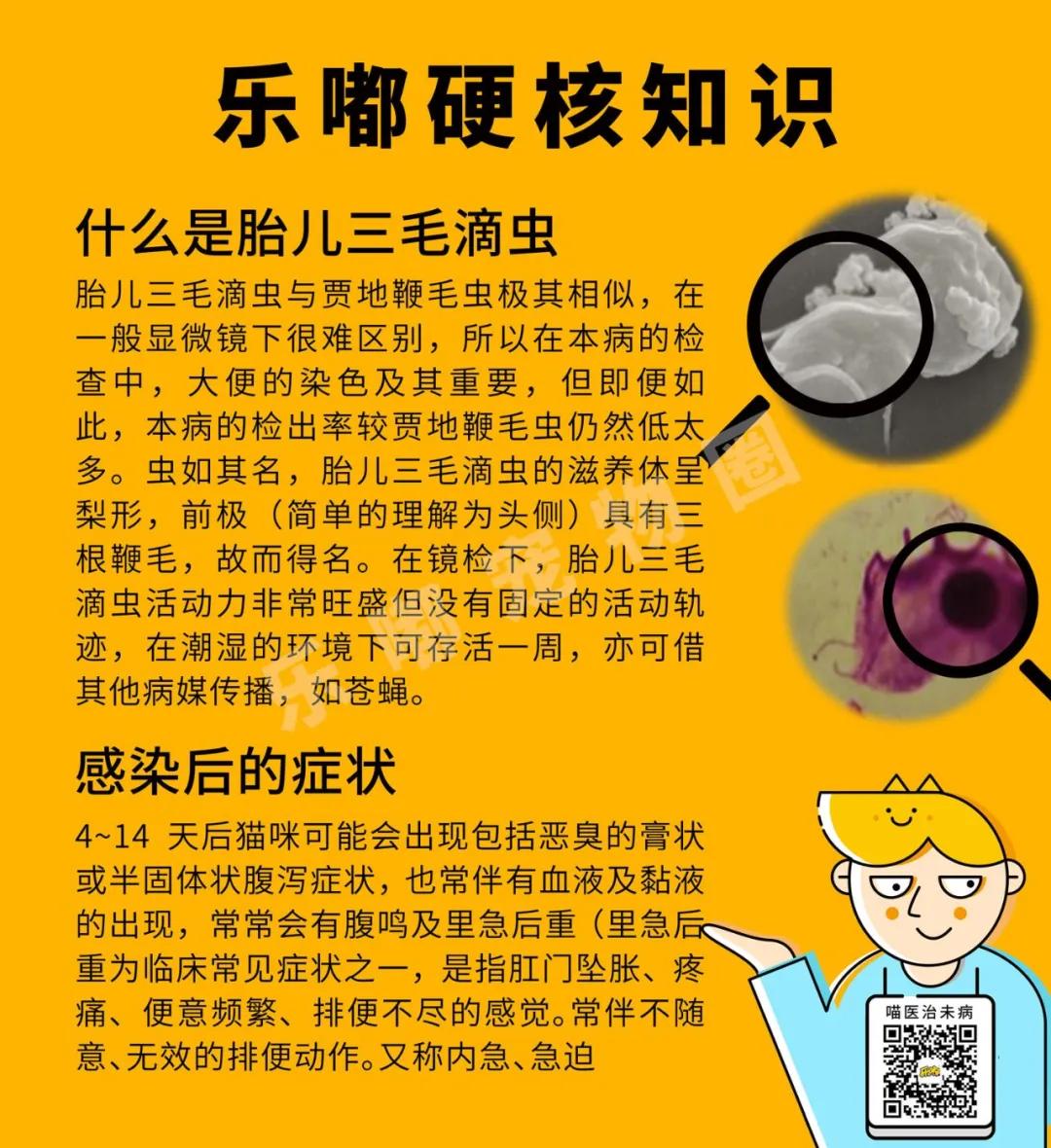 常规驱虫药都不能赶走哪些寄生虫,驱虫关注事项有哪些