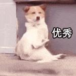 依云矿泉水为什么降价了,依云水最新事件