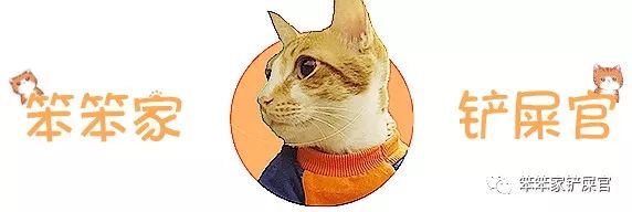 猫咪尿血治疗三天后又尿血,猫咪反复尿血吃三金片