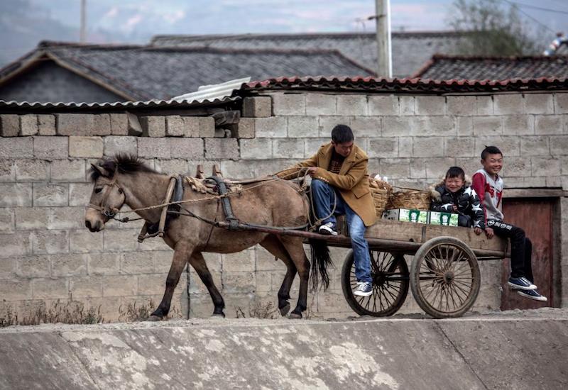 农村俗语，“车船店脚牙，无罪也该杀”，是一颗老鼠屎坏了一锅粥