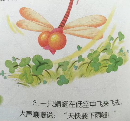 有声动物故事书,有声绘本故事动物全集