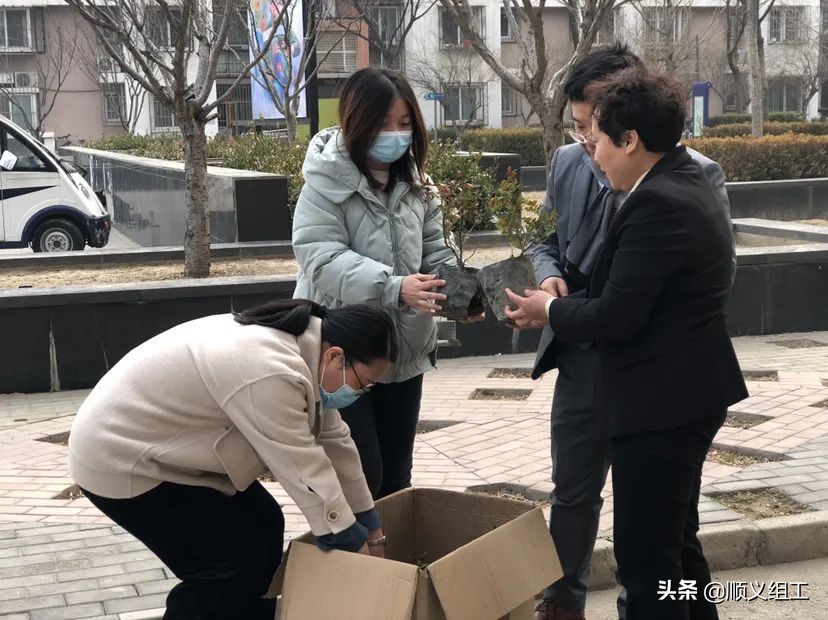 社区建设社区治理,北京顺义区空港街道吉祥花园