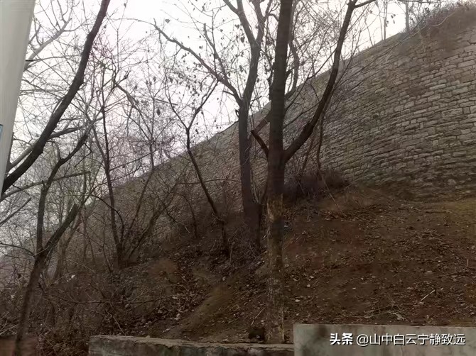 济宁各地区方言,济宁搞笑方言视频