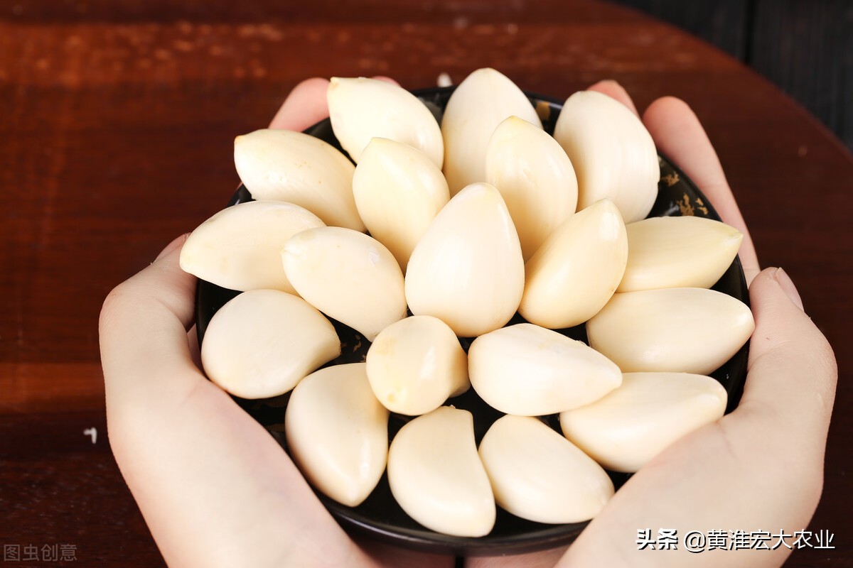 中国大蒜为什么这么火,中国大蒜靠啥吸引140多个国家地区
