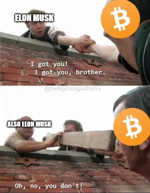 *币特比**跌的连亲娘都不认识？网友狂骂马斯克！“你让我一无所有”