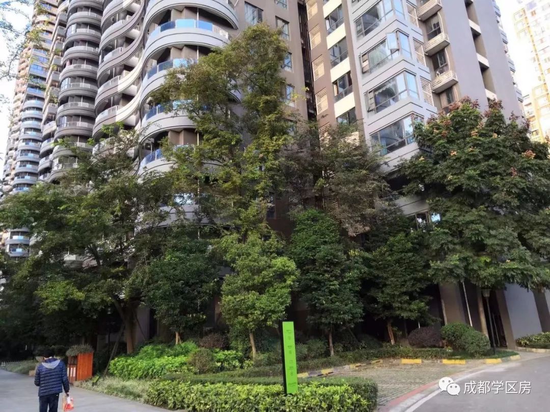 天府新区第五小学待遇,天府新区第五小学对口中学