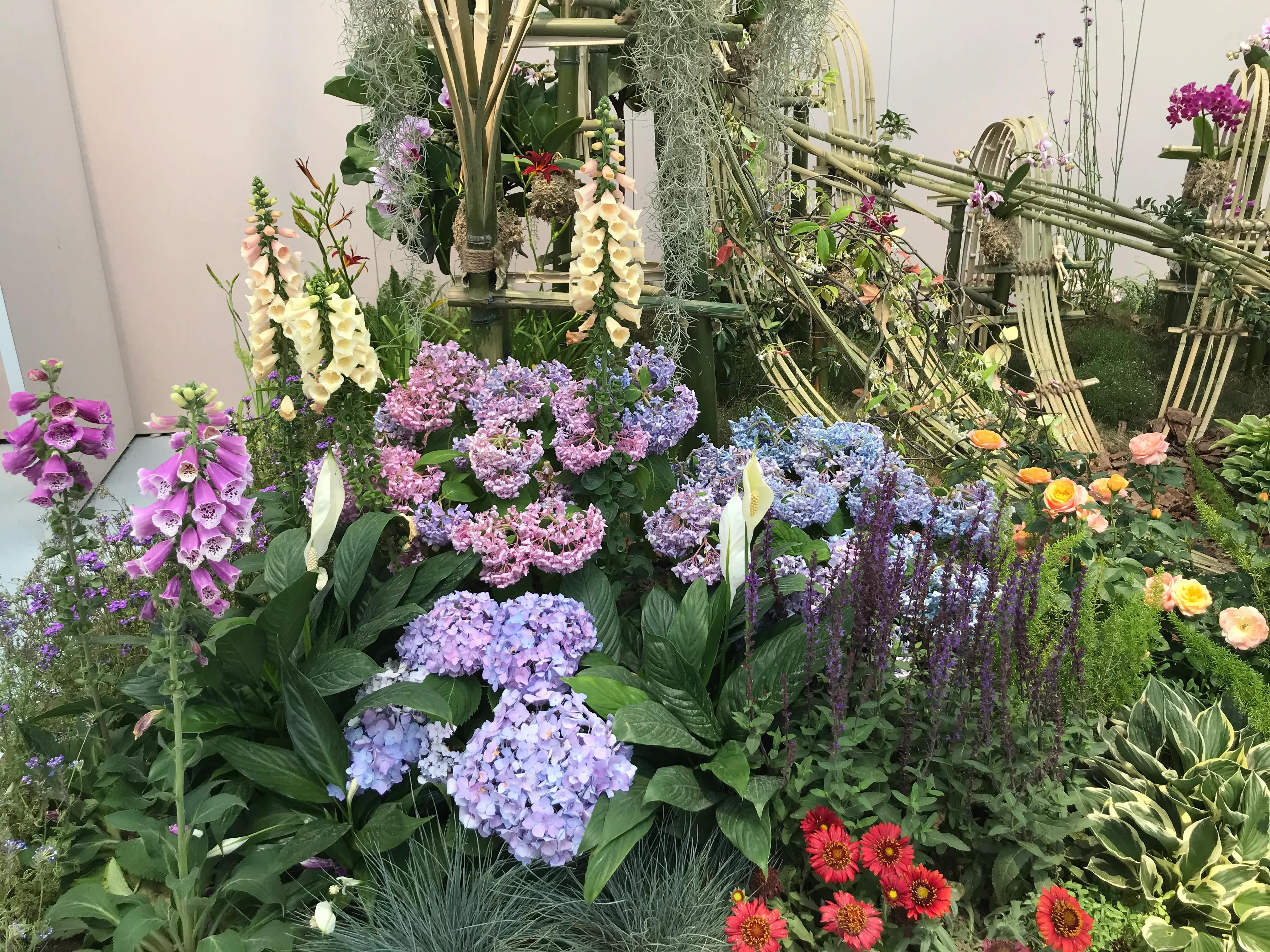 2021扬州世园会园艺微景观创作国际竞赛-世园会国际馆