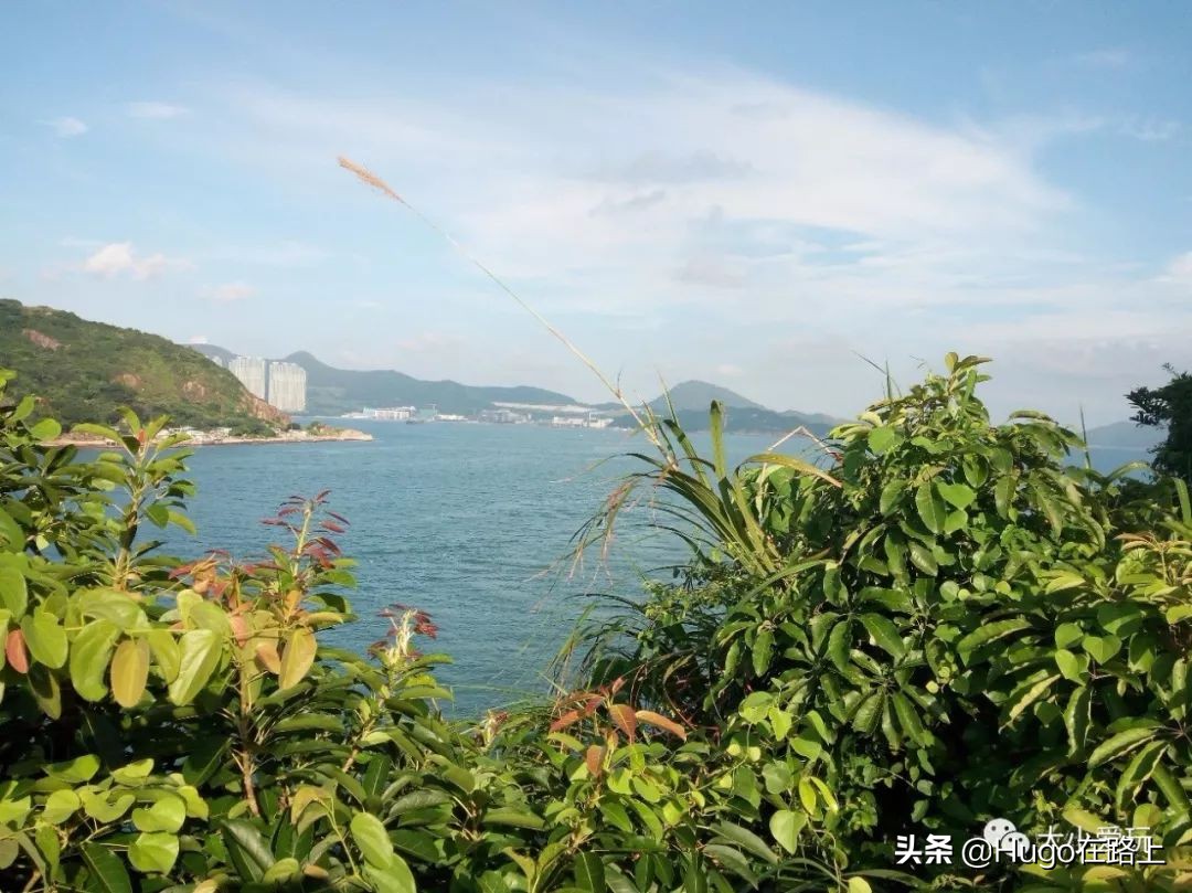 香港亲子游最佳路线图,香港亲子游攻略图