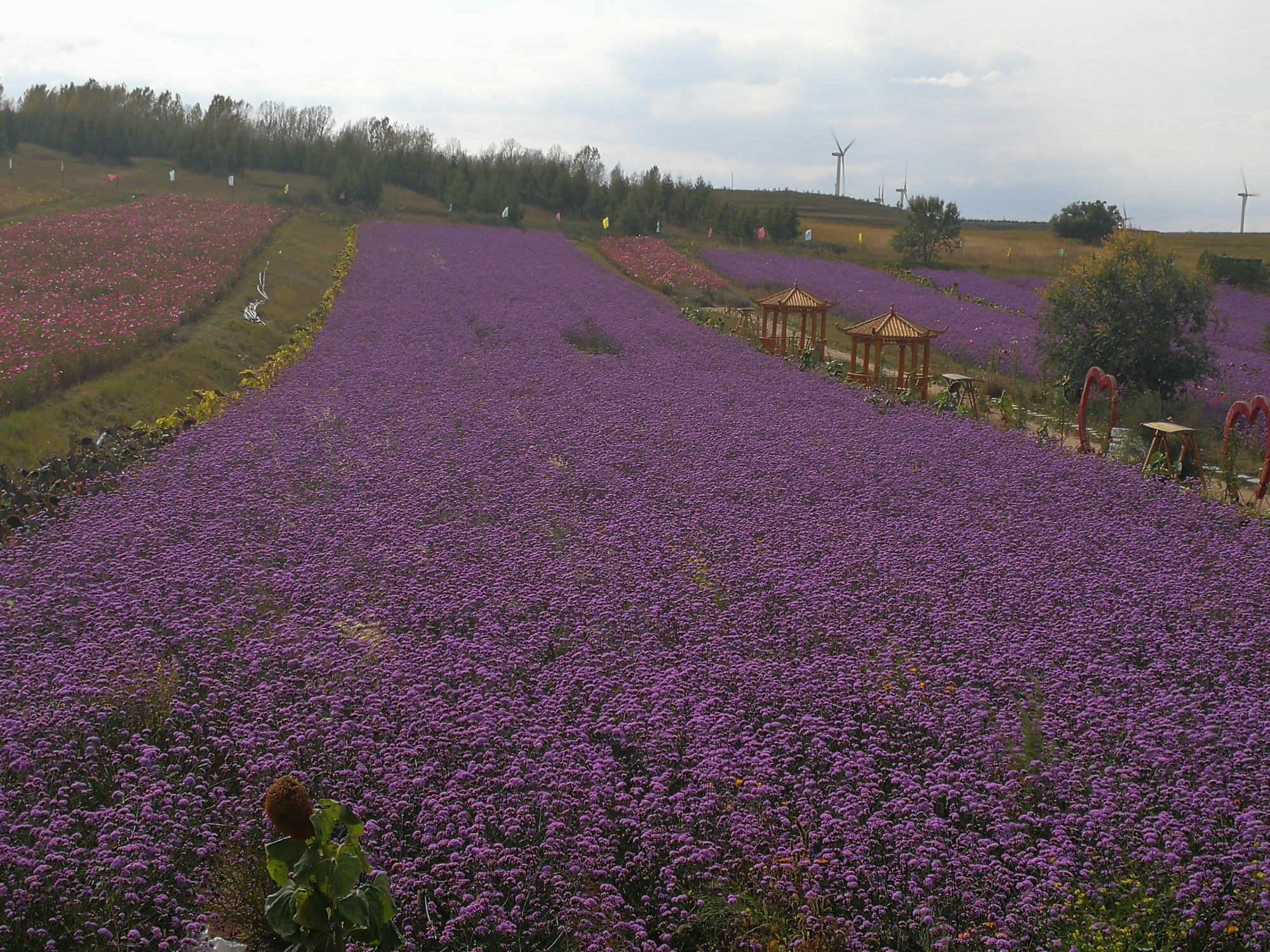 银行卡销户要去原银行销户吗,银行卡出现什么问题才无法销户