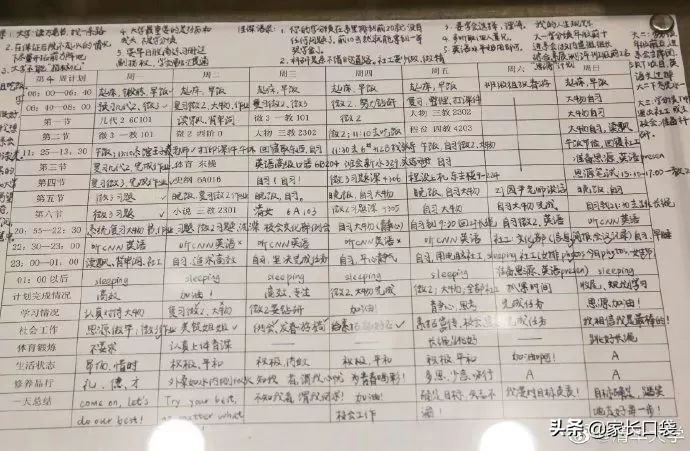 鸡娃日常规划假日,鸡娃计划表完整版