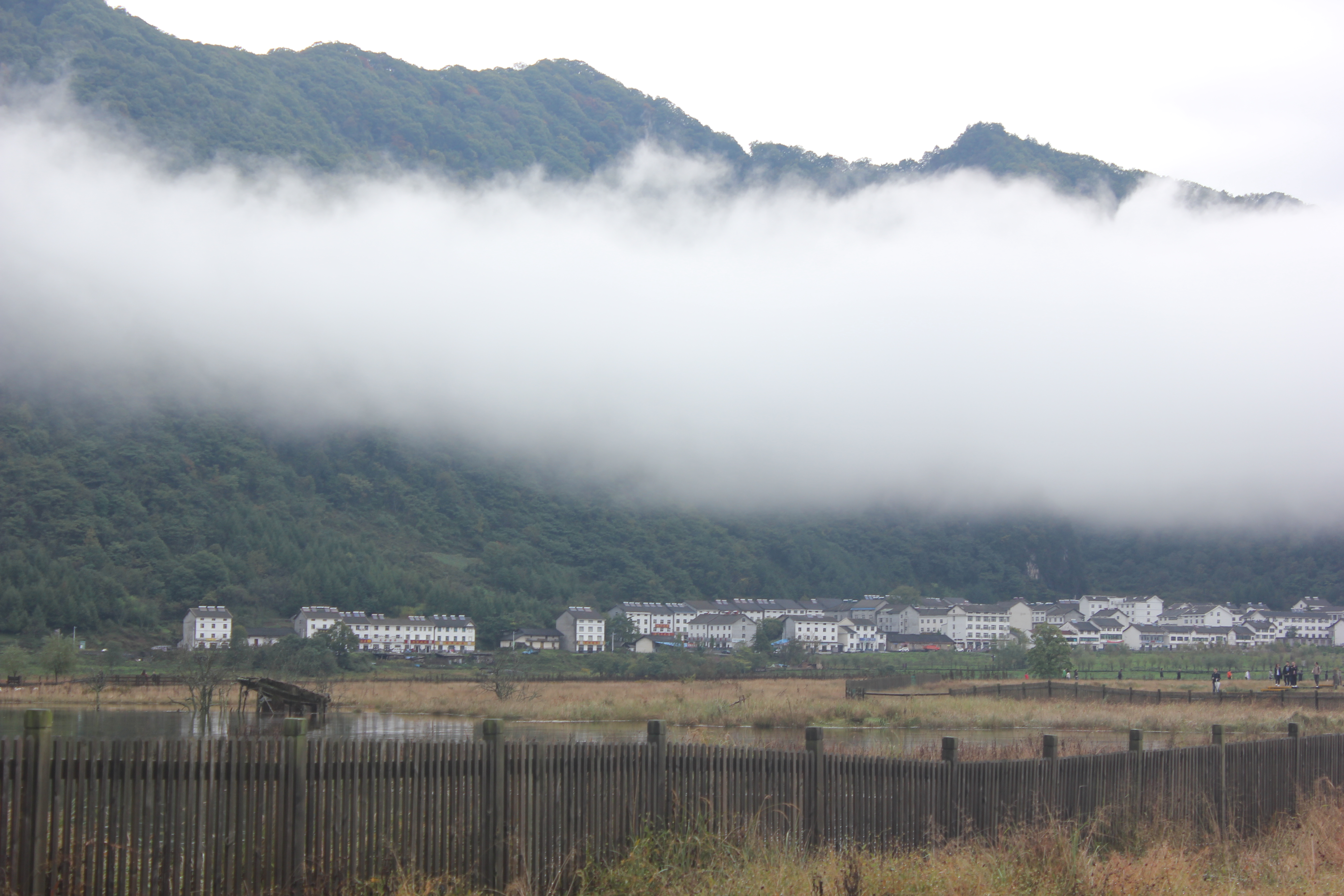 雨中神农架探秘之旅｜国庆节武汉至神农架自驾游攻略分享