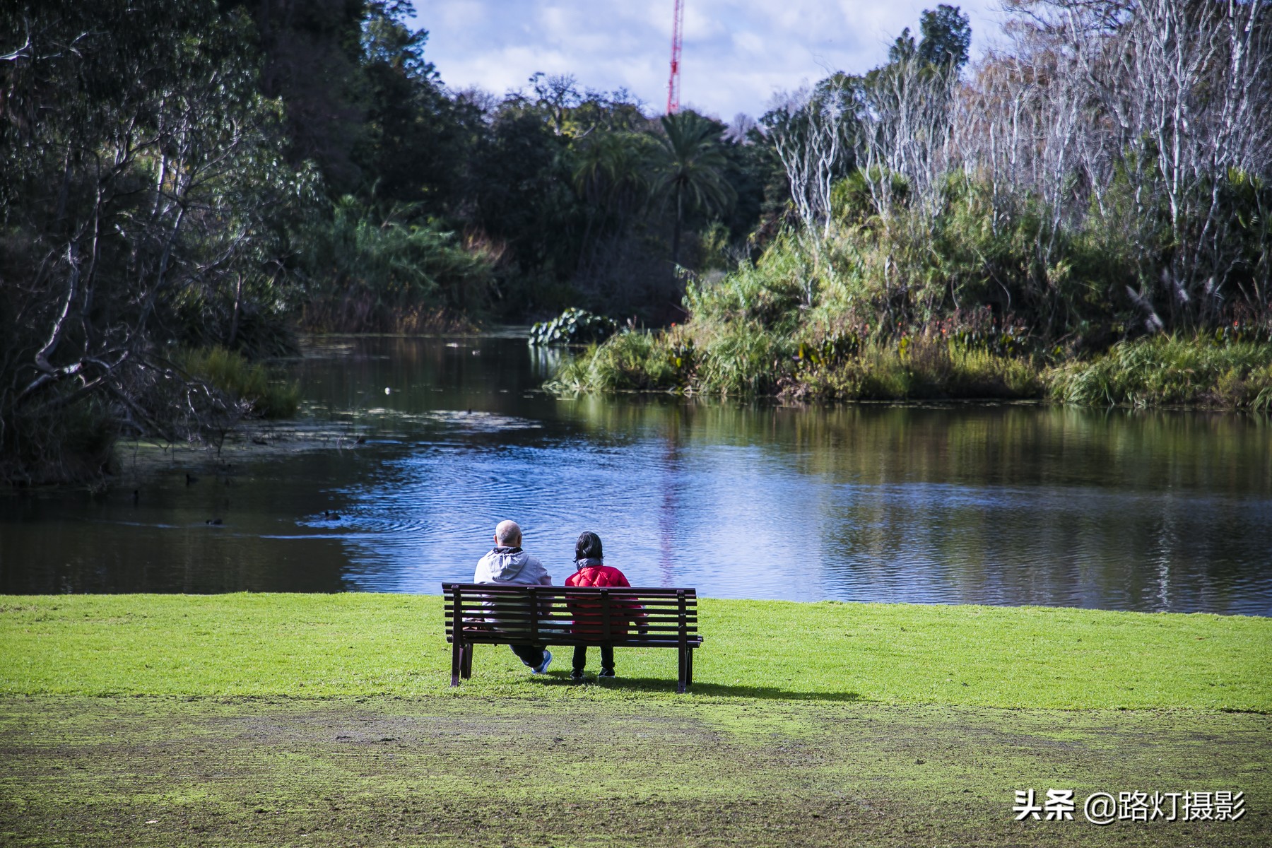 国外有没有禁止踩踏草坪,为什么国外草坪可以随便踩