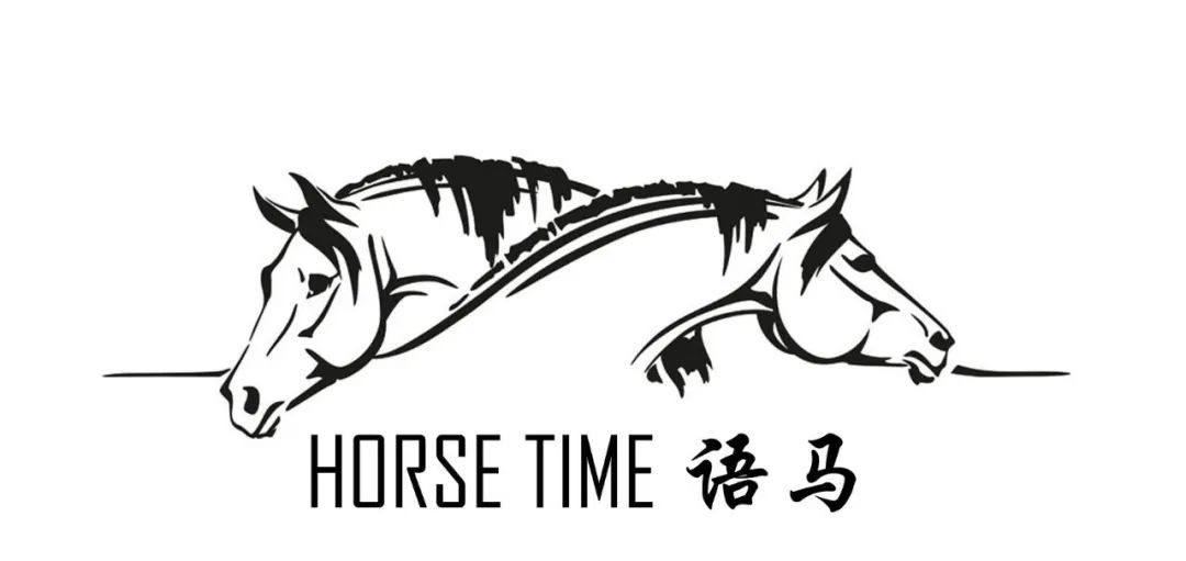 中轴骨和四轴骨,中轴脊柱