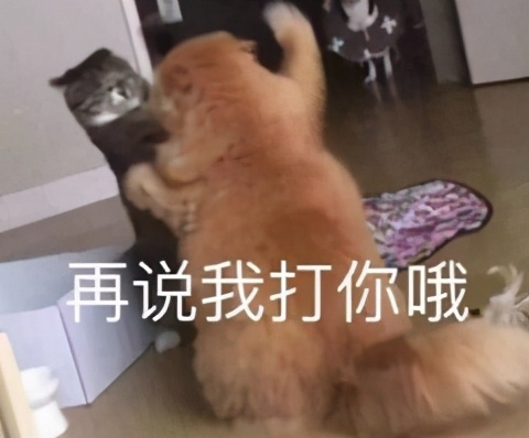 杨梅里的虫子吃进肚子怎么办,杨梅为什么会招虫子