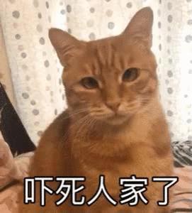 恐惧症常见的特点包括,恐惧症的六种表现