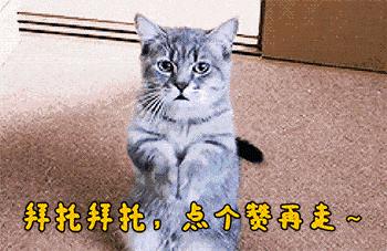 每日一难题中午吃什么,每日一苦恼中午吃什么