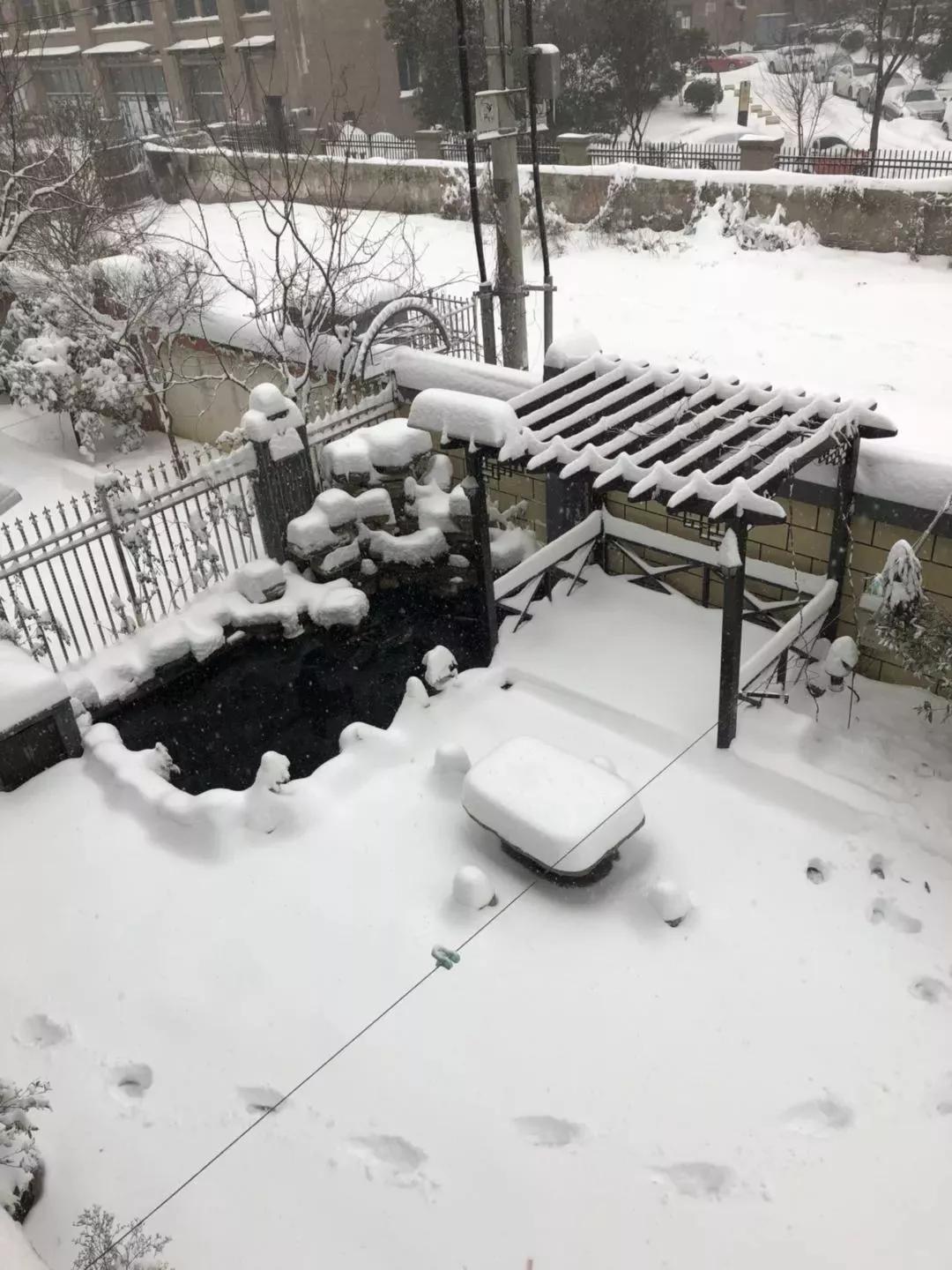 涨知识海洋食物链,涨知识原来鱼卵是这样孵化的