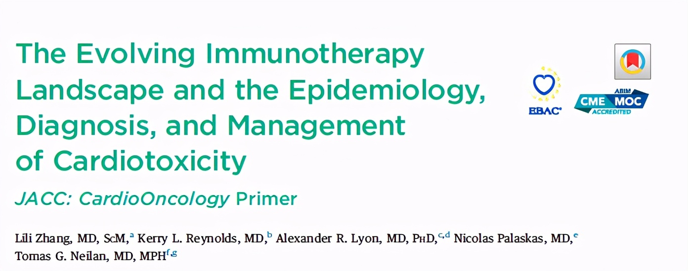 解读癌症治疗与血汗管毒性,肿瘤治疗的综述