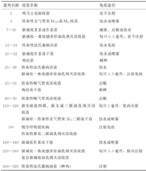 蛋鸡标准化安全生产关键技术,蛋鸡养殖安全管理制度