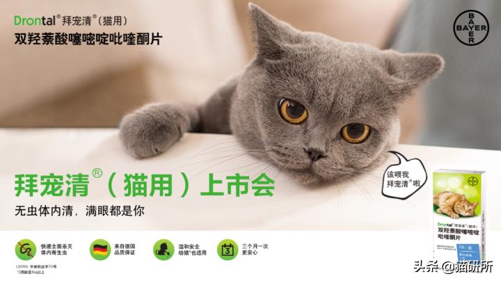 辨别兽药真假,如何辨别真假兽药视频教程