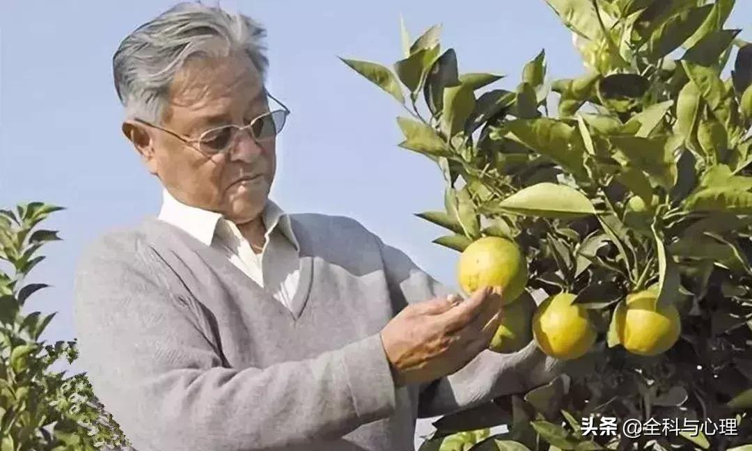 佛说你所有的福气都藏在脾气里,所有得失皆是因果