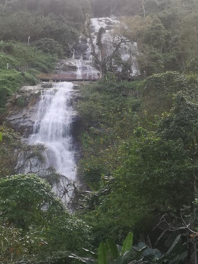 海南琼中橙多少钱一斤,海南琼中橙橙农场