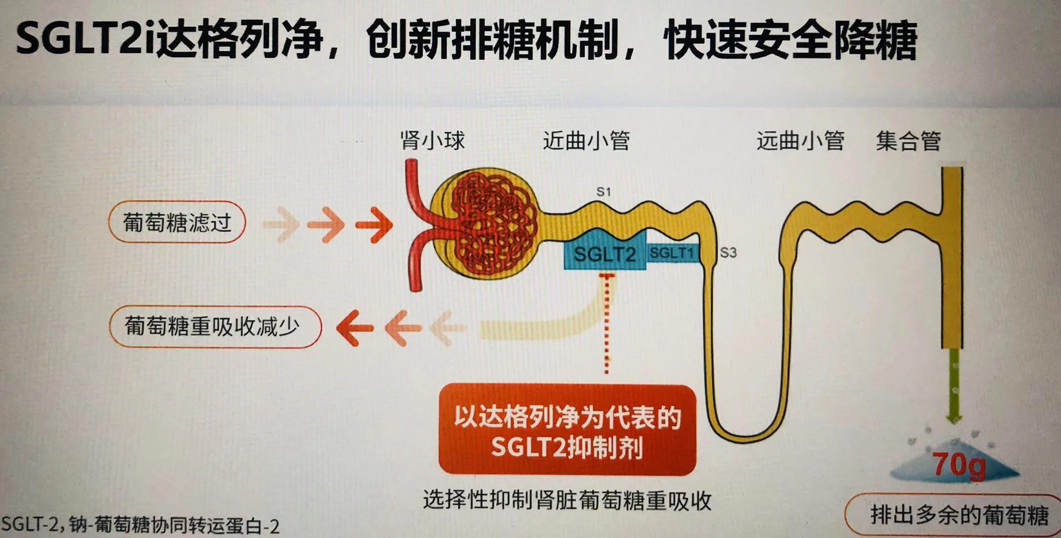 医保局专家灵魂砍价谁左谁右,医保局专家灵魂砍价完整版