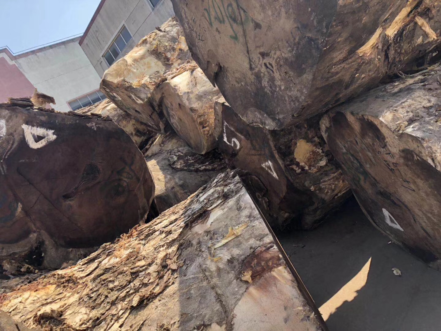 暗访东莞天价大板生产基地，原料全是称斤烂木头，富豪还排队来买