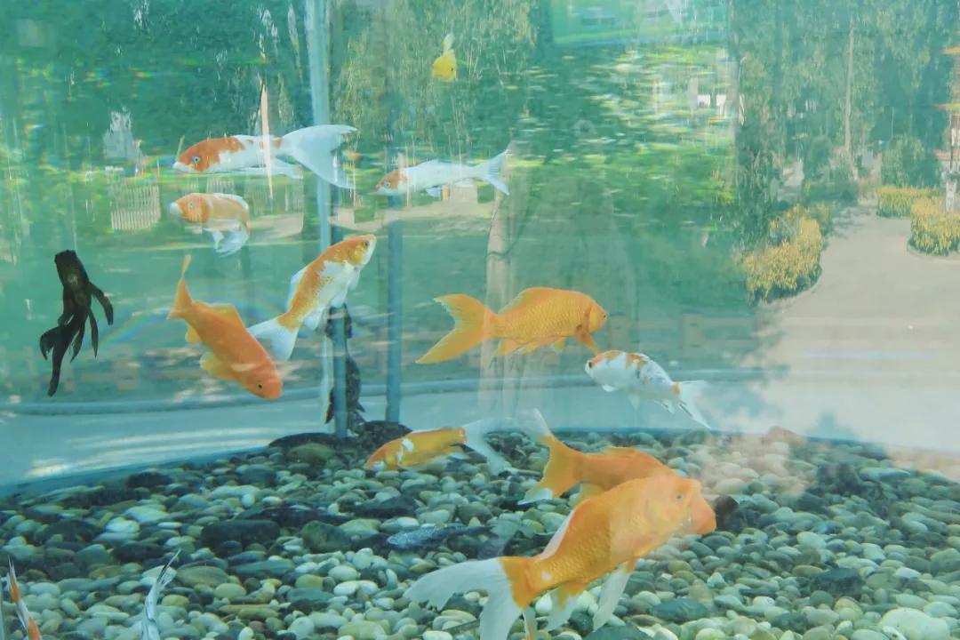 在动物园漫步才是正经事|暴走福州