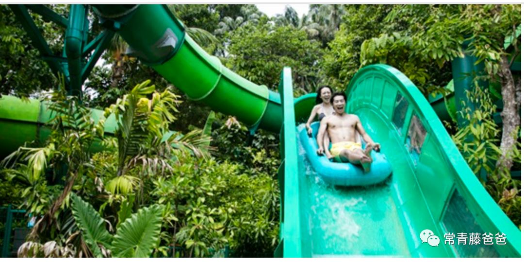 十一新加坡,十一游学新加坡