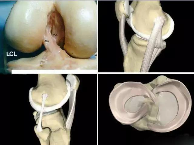 膝关节疼痛的十大原因怎么治疗,膝关节疼痛和什么疾病有关