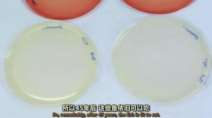 上海|想花1折的钱，买到进口的精致生活？跟着上海阿姨走就对了