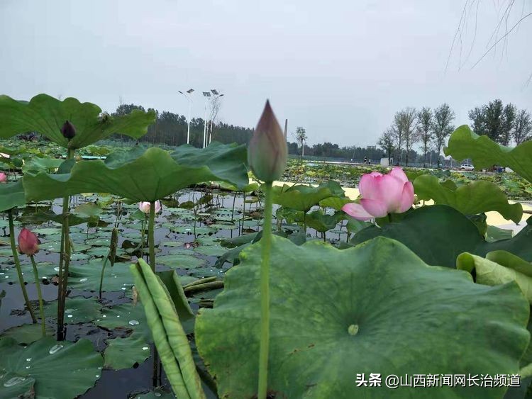 鎴戜滑韬竟鐨勬柊闂绘湁鍝簺,鎴戜滑韬竟鐨勪簩闈掍細灞辫タ