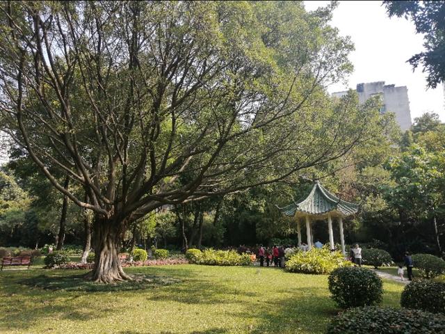 黄花岗公园图片大全,黄花岗公园门票多少钱