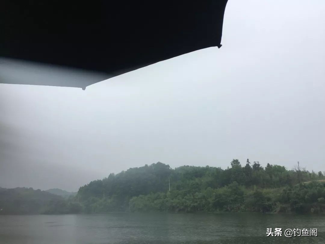 气压低鱼缺氧不开口怎么办,气压低鱼缺氧