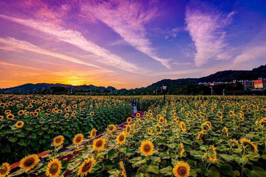 宜春4a景点,宜春免费旅游景区排名前十