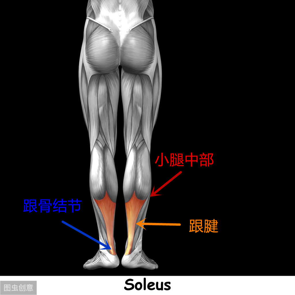 跟腱断裂轻度功能障碍鉴定标准,跟腱出现问题前有什么表现