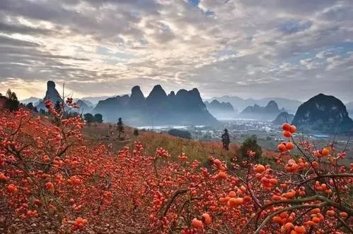 广西旅游景区向全国医护人员免费,疫情医护人员景区免费