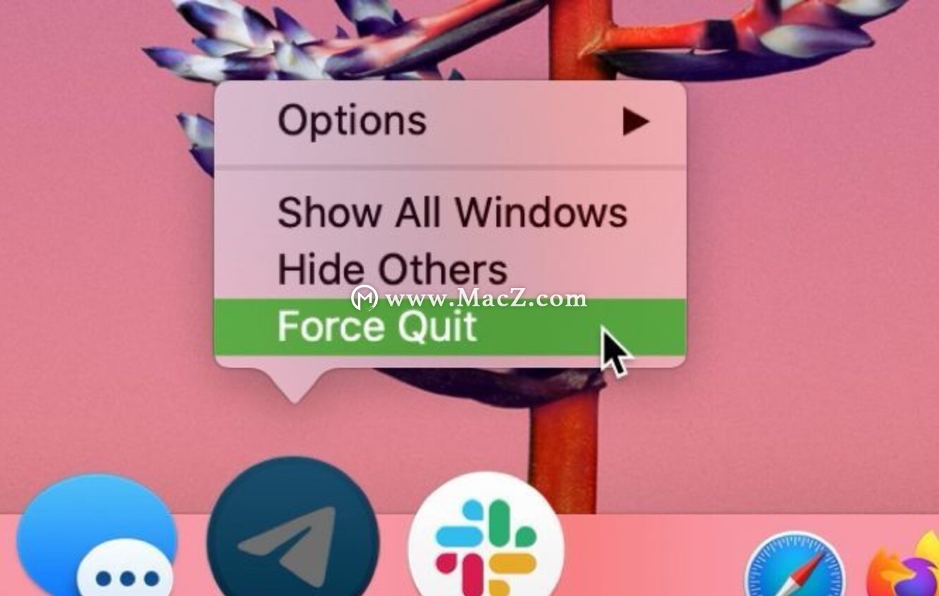 mac如何强制退出关机,mac怎么强行退出