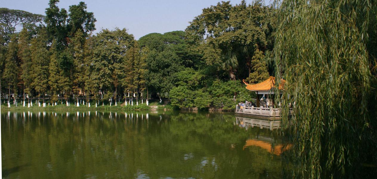 顺景酒店的花园客房,顺景酒店宴会中心