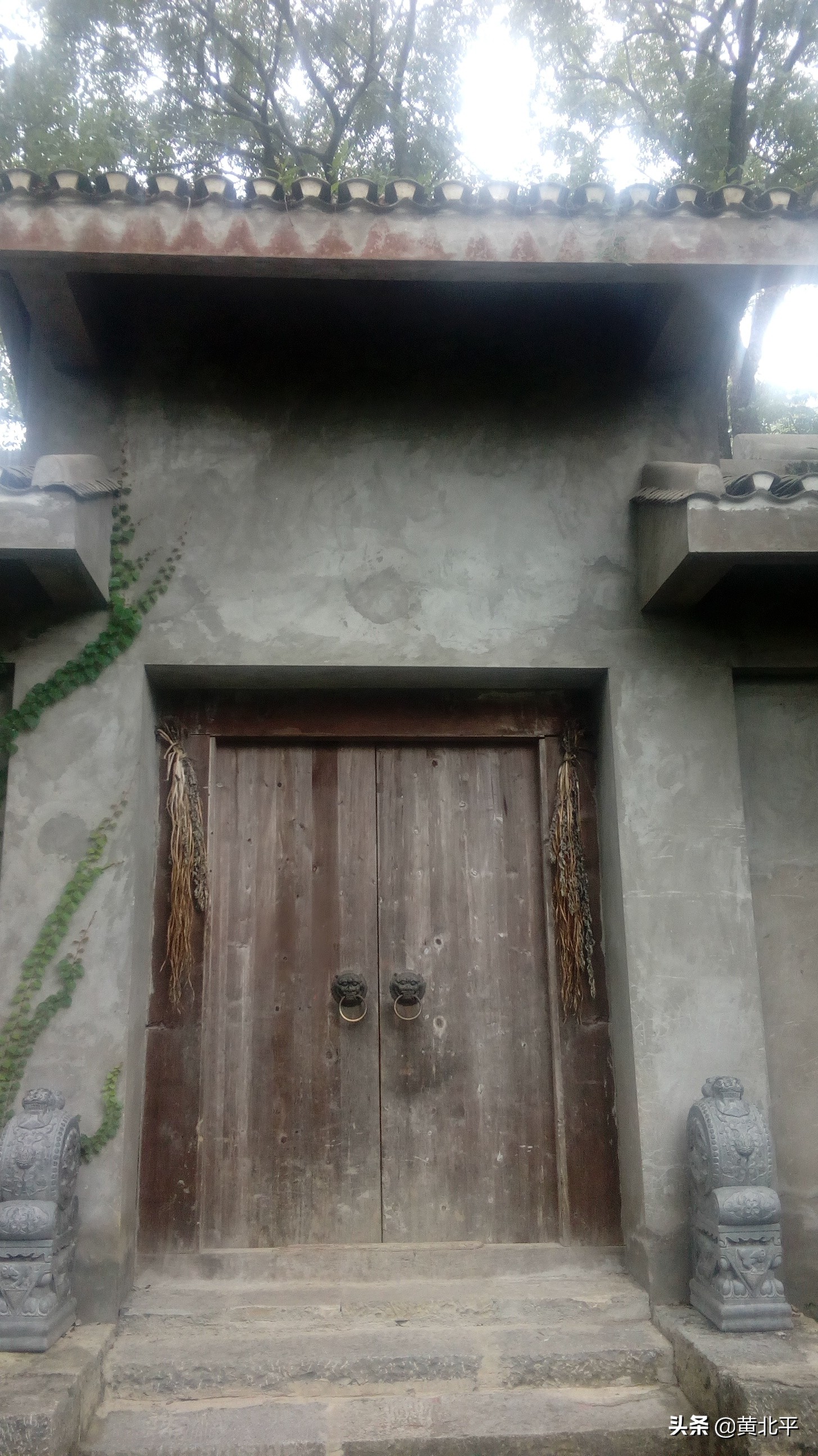 重庆市巴南区东泉镇双星村,重庆市巴南区东泉镇