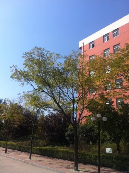 安泰中学发展前景,综合实力最强的10所高中