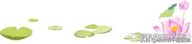 当豆豆遇上咖喱拌饭,当豆子遇见海螺