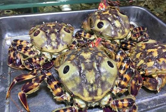 东港最全海鲜,东港海鲜攻略