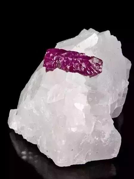 世界上令自己眸生情，见到后再也不爱别人的51个丽人