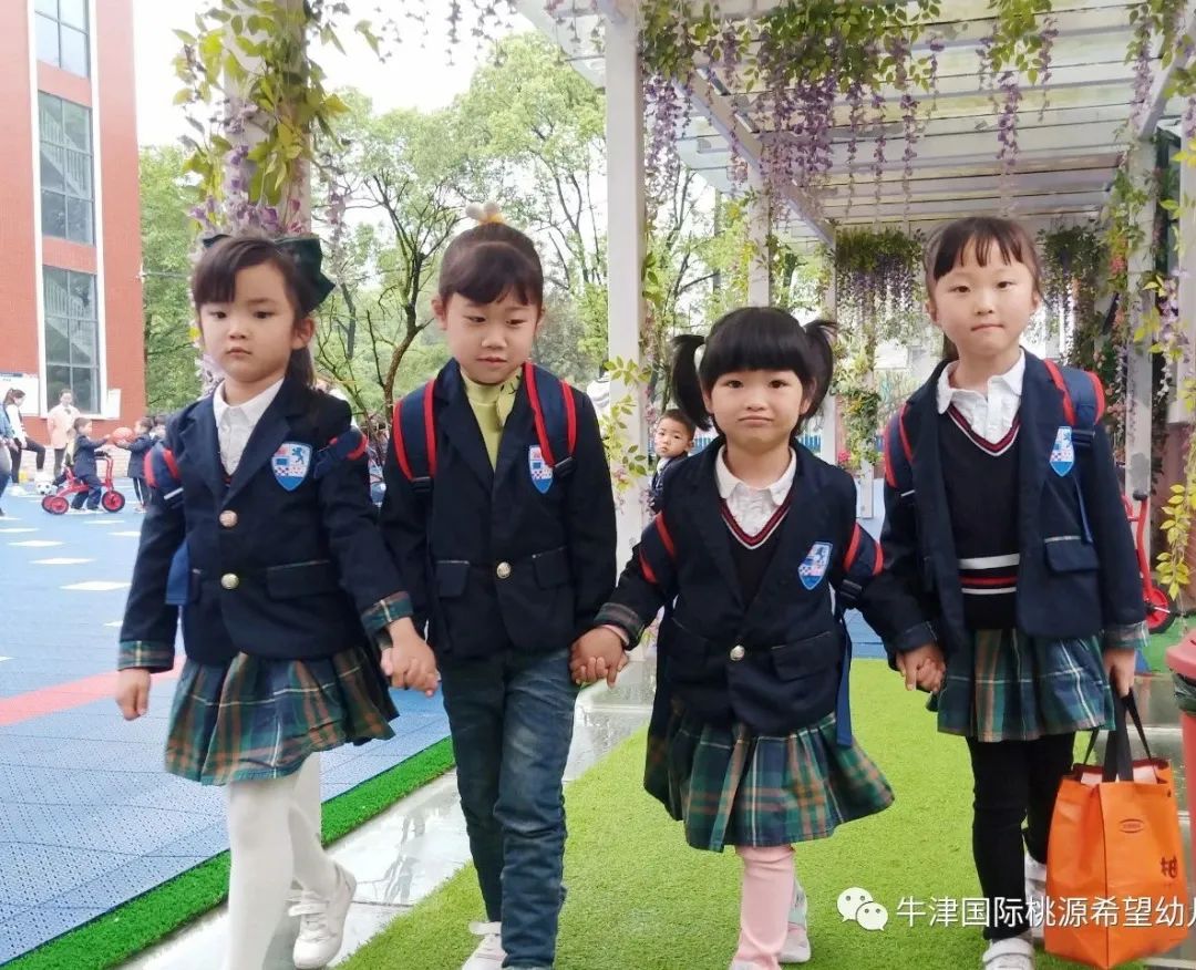 常德桃源公办小学招生政策,常德桃源高中招生计划
