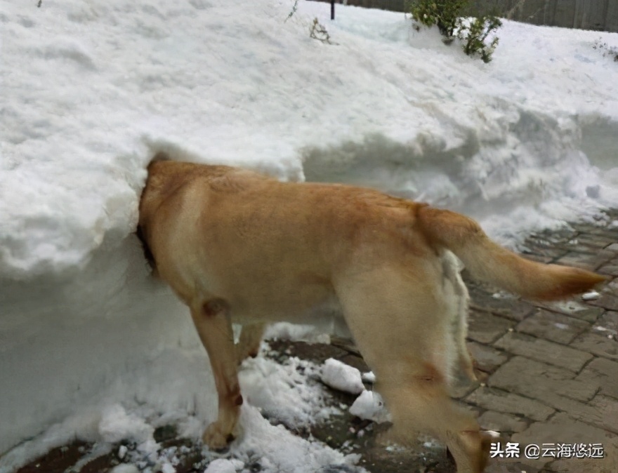 面对选择工作的纠结,面对选择不纠结