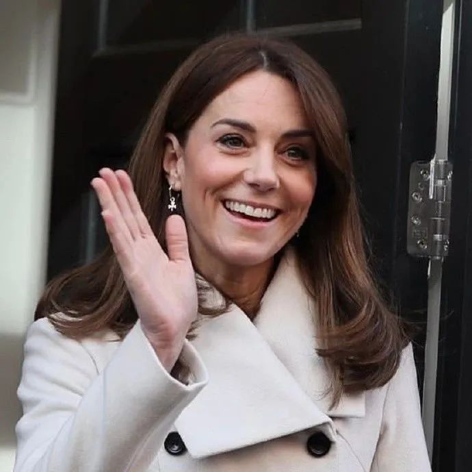 抄作业的基本步骤,凯特威廉王子访问爱尔兰