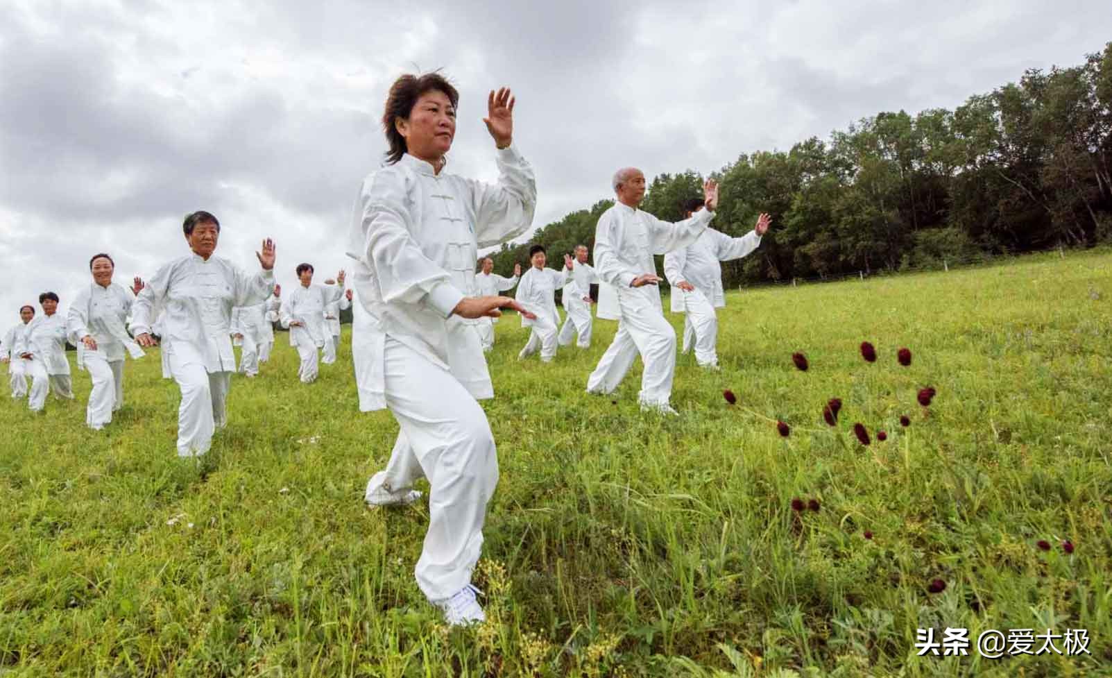 练太极拳的排毒反应,太极拳对人体精气有调养作用